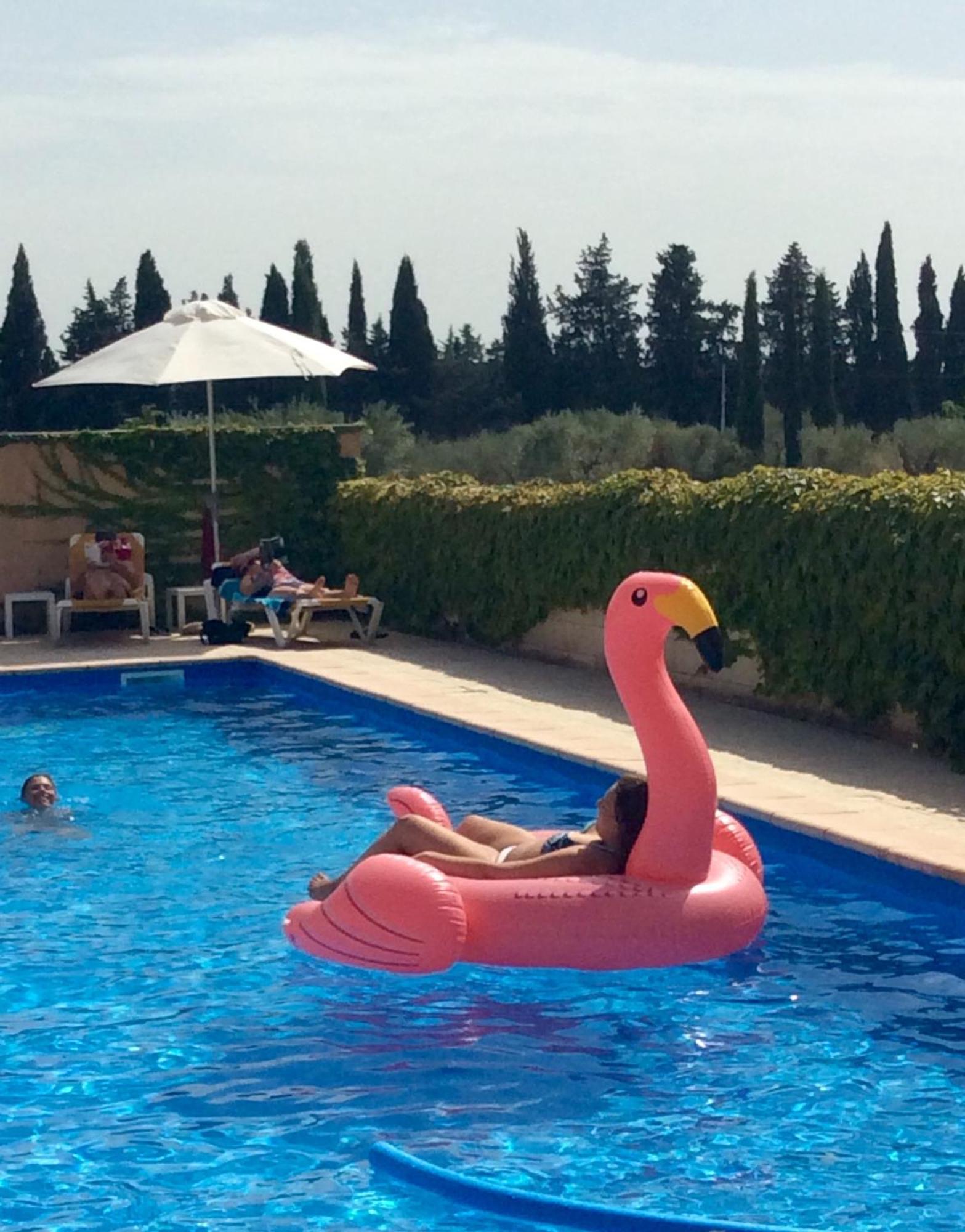 Hotel Terriciae Aux Portes De Maussane Les Alpilles Экстерьер фото